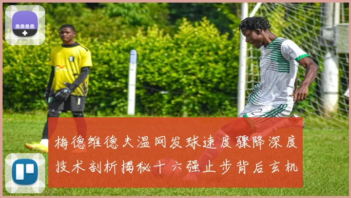 梅德维德夫温网发球速度骤降深度技术剖析揭秘十六强止步背后玄机